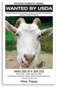 The Truth About the Animal ID Plan Image